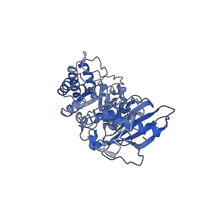 0960_6lrs_F_v1-0
Cryo-EM structure of RbcL8-RbcS4 from Anabaena sp. PCC 7120
