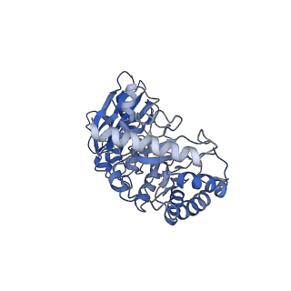 0960_6lrs_G_v1-0
Cryo-EM structure of RbcL8-RbcS4 from Anabaena sp. PCC 7120