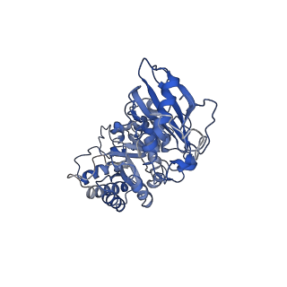 0960_6lrs_H_v1-0
Cryo-EM structure of RbcL8-RbcS4 from Anabaena sp. PCC 7120