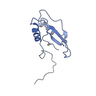 0960_6lrs_Q_v1-0
Cryo-EM structure of RbcL8-RbcS4 from Anabaena sp. PCC 7120