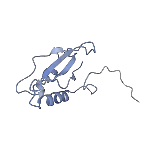 0960_6lrs_R_v1-0
Cryo-EM structure of RbcL8-RbcS4 from Anabaena sp. PCC 7120