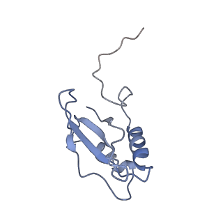 0960_6lrs_S_v1-0
Cryo-EM structure of RbcL8-RbcS4 from Anabaena sp. PCC 7120