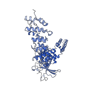 23493_7lr0_D_v1-2
Structure of squirrel TRPV1 in complex with capsaicin