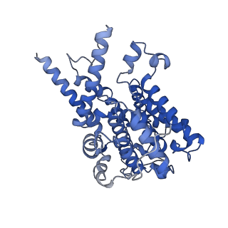 23494_7lrc_B_v1-1
Cryo-EM of the SLFN12-PDE3A complex: PDE3A body refinement