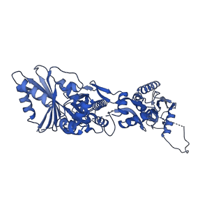 23495_7lrd_A_v1-1
Cryo-EM of the SLFN12-PDE3A complex: Consensus subset model