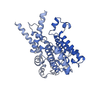 23495_7lrd_B_v1-1
Cryo-EM of the SLFN12-PDE3A complex: Consensus subset model