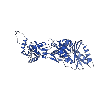 23495_7lrd_C_v1-2
Cryo-EM of the SLFN12-PDE3A complex: Consensus subset model