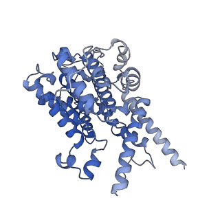 23495_7lrd_D_v1-1
Cryo-EM of the SLFN12-PDE3A complex: Consensus subset model