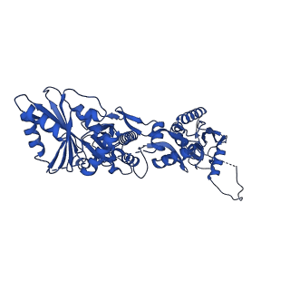 23496_7lre_A_v1-1
Cryo-EM of the SLFN12-PDE3A complex: SLFN12 body refinement