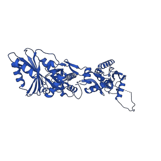 23496_7lre_A_v1-2
Cryo-EM of the SLFN12-PDE3A complex: SLFN12 body refinement