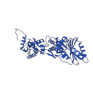 23496_7lre_B_v1-2
Cryo-EM of the SLFN12-PDE3A complex: SLFN12 body refinement