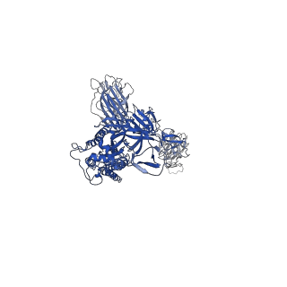 23499_7lrt_A_v1-1
Cryo-EM structure of SARS-CoV-2 spike in complex with neutralizing antibody A23-58.1 that targets the receptor-binding domain