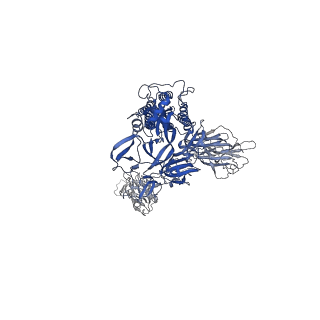 23499_7lrt_B_v1-1
Cryo-EM structure of SARS-CoV-2 spike in complex with neutralizing antibody A23-58.1 that targets the receptor-binding domain