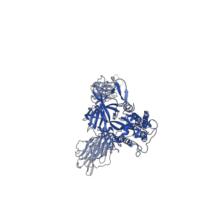 23499_7lrt_C_v1-1
Cryo-EM structure of SARS-CoV-2 spike in complex with neutralizing antibody A23-58.1 that targets the receptor-binding domain