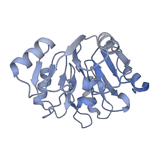 0963_6lsr_6_v1-0
Cryo-EM structure of a pre-60S ribosomal subunit - state B