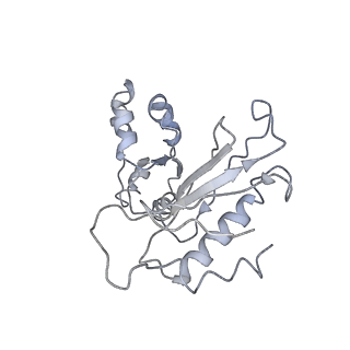 0963_6lsr_A_v1-0
Cryo-EM structure of a pre-60S ribosomal subunit - state B