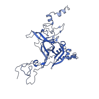 0963_6lsr_B_v1-0
Cryo-EM structure of a pre-60S ribosomal subunit - state B