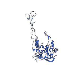 0963_6lsr_D_v1-0
Cryo-EM structure of a pre-60S ribosomal subunit - state B