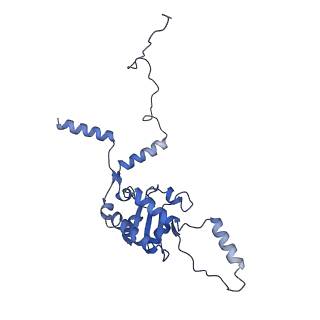 0963_6lsr_G_v1-0
Cryo-EM structure of a pre-60S ribosomal subunit - state B