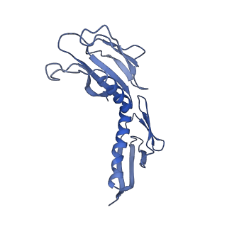 0963_6lsr_I_v1-0
Cryo-EM structure of a pre-60S ribosomal subunit - state B
