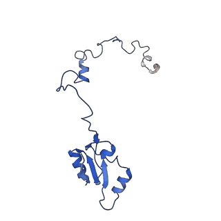 0963_6lsr_L_v1-0
Cryo-EM structure of a pre-60S ribosomal subunit - state B