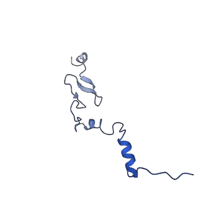 0963_6lsr_M_v1-0
Cryo-EM structure of a pre-60S ribosomal subunit - state B