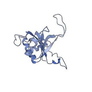 0963_6lsr_N_v1-0
Cryo-EM structure of a pre-60S ribosomal subunit - state B