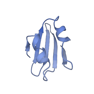 0963_6lsr_O_v1-0
Cryo-EM structure of a pre-60S ribosomal subunit - state B