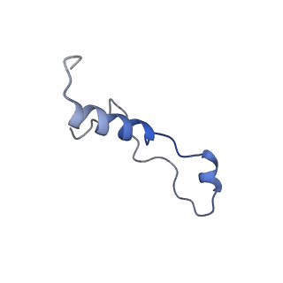 0963_6lsr_P_v1-0
Cryo-EM structure of a pre-60S ribosomal subunit - state B