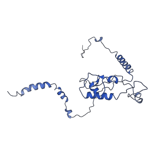 0963_6lsr_Q_v1-0
Cryo-EM structure of a pre-60S ribosomal subunit - state B