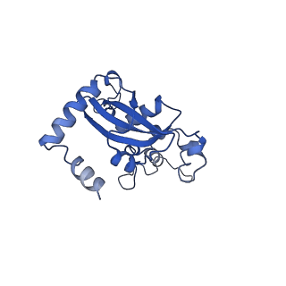 0963_6lsr_U_v1-0
Cryo-EM structure of a pre-60S ribosomal subunit - state B