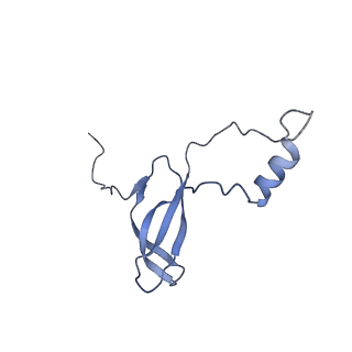 0963_6lsr_W_v1-0
Cryo-EM structure of a pre-60S ribosomal subunit - state B