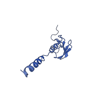 0963_6lsr_X_v1-0
Cryo-EM structure of a pre-60S ribosomal subunit - state B