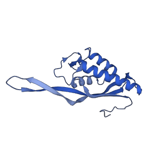 0963_6lsr_Y_v1-0
Cryo-EM structure of a pre-60S ribosomal subunit - state B