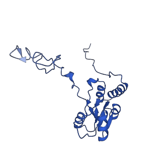 0963_6lsr_Z_v1-0
Cryo-EM structure of a pre-60S ribosomal subunit - state B