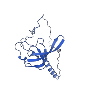0963_6lsr_c_v1-0
Cryo-EM structure of a pre-60S ribosomal subunit - state B