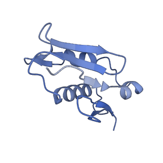 0963_6lsr_d_v1-0
Cryo-EM structure of a pre-60S ribosomal subunit - state B