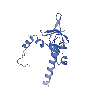 0963_6lsr_h_v1-0
Cryo-EM structure of a pre-60S ribosomal subunit - state B