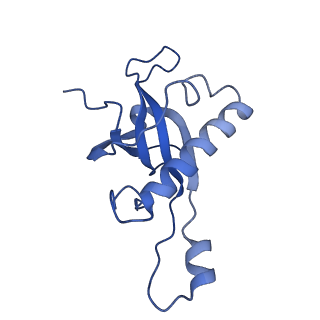 0963_6lsr_i_v1-0
Cryo-EM structure of a pre-60S ribosomal subunit - state B