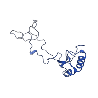 0963_6lsr_t_v1-0
Cryo-EM structure of a pre-60S ribosomal subunit - state B