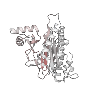 0963_6lsr_z_v1-0
Cryo-EM structure of a pre-60S ribosomal subunit - state B