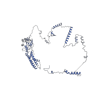0964_6lss_4_v1-0
Cryo-EM structure of a pre-60S ribosomal subunit - state preA