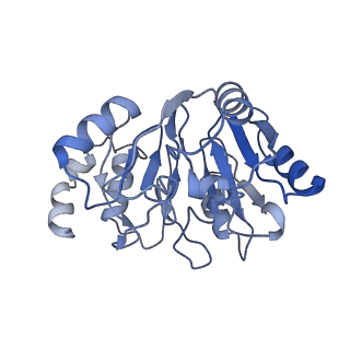 0964_6lss_6_v1-0
Cryo-EM structure of a pre-60S ribosomal subunit - state preA