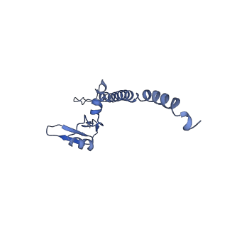 0964_6lss_7_v1-0
Cryo-EM structure of a pre-60S ribosomal subunit - state preA