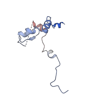 0964_6lss_9_v1-0
Cryo-EM structure of a pre-60S ribosomal subunit - state preA