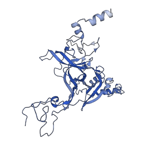 0964_6lss_B_v1-0
Cryo-EM structure of a pre-60S ribosomal subunit - state preA