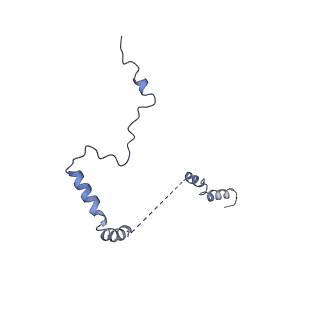 0964_6lss_C_v1-0
Cryo-EM structure of a pre-60S ribosomal subunit - state preA