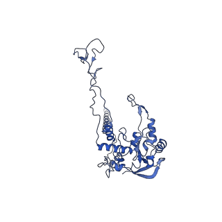 0964_6lss_D_v1-0
Cryo-EM structure of a pre-60S ribosomal subunit - state preA