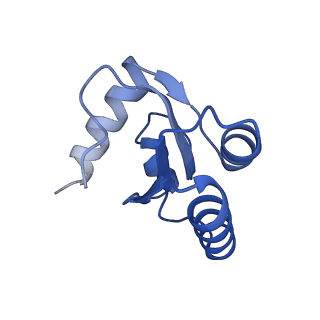 0964_6lss_E_v1-0
Cryo-EM structure of a pre-60S ribosomal subunit - state preA