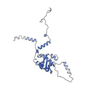 0964_6lss_G_v1-0
Cryo-EM structure of a pre-60S ribosomal subunit - state preA